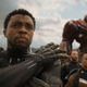 T’Challa, bracing himself for another round of fake Avengers 4 rumors.